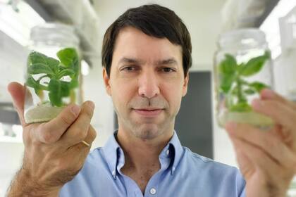 Para Lucas Lieber, la decisión de China abre las puertas a que continúen las inversiones con edición génica