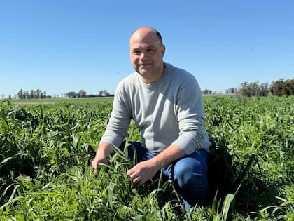 Para Marcelo Beltrán, investigador del Instituto de Suelos de INTA Castelar, productividad y sustentabilidad no van por caminos separados: “Si se hacen bien los deberes, la regeneración va de la mano con una mayor productividad”