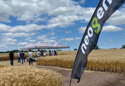 Para Matías Venece, gerente de desarrollo de autógamas Región Sur de GDM, el punto de partida para una alta productividad está en el diagnóstico preciso del lote y el perfil hídrico