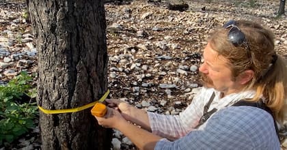 Para medir la circunferencia del tronco se puede utilizar una cinta métrica flexible, o en su defecto, un trozo de cuerda o hilo