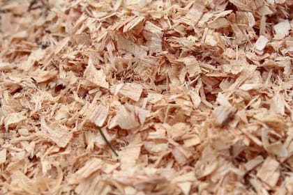 Para mejorar la digestibilidad (del 30-35 al 40-45%) se deben reducir los niveles de lignina. Una técnica muy antigua, es tratar al aserrín con urea o amoniaco (amonificación) y moliendo el aserrín a partículas pequeñas