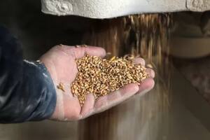 "Para mí, no se trata de si estamos yendo hacia una crisis alimentaria mundial, sino de cuán grande será la crisis", advirtió Svein Tore Holsether, el jefe de Yara International