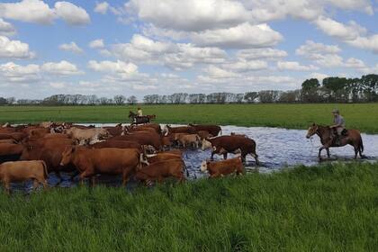 Para Mondino, “es crucial establecer una clara distinción: la administración oportuna de una adecuada dosis de vacuna, junto con una nutrición apropiada, produce un resultado específico”