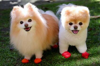 Para morir de amor. Awwww