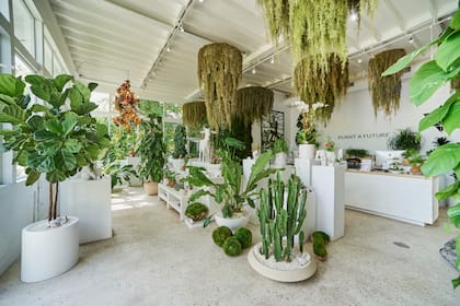 Para Paloma Teppa, Plant The Future es mucho más que una empresa (Cortesía: Paloma Teppa)