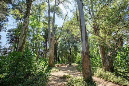 Para pasar un día de campo en La Comarca, es necesario reservar con antelación