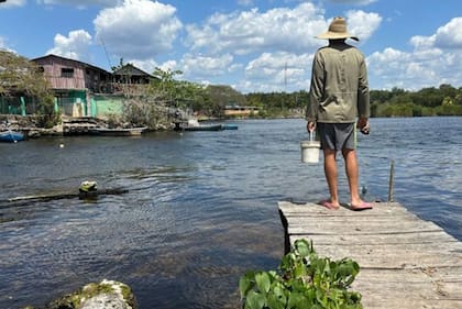 Para Pauli, el principal problema al que se enfrentan los proyectos de economía azul es la ignorancia