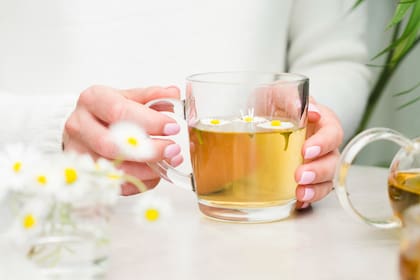 Para preparar la infusión se debe utilizar un puñado de flores frescas de manzanilla por cada 250 ml de agua hirviendo y dejarlas reposar durante 5 a 10 minutos. (LN)