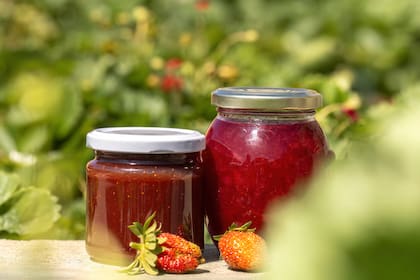 Para principiantes, la mermelada de frutilla es la más fácil de hacer