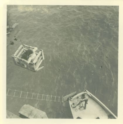 Para que la experiencia de subir a Sealand fuera más cómoda, los Bates instalaron un "ascensor".