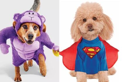 Para que nadie se quede afuera Amazon y Target ofrecen grandes opciones en disfraces para mascotas a precios muy competitivos. Créditos: Canva