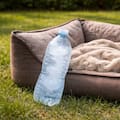 Para qué sirve poner una botella congelada cerca de la cama del perro