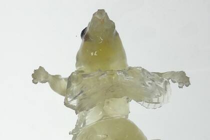 Para realizar esta ´técnica se extrae toda la sangre del animal