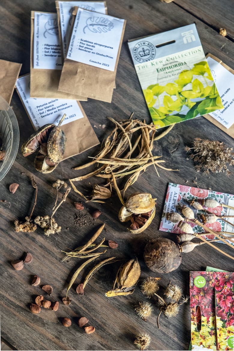 El ABC de la jardinería de otoño: cómo sembrar y multiplicar nuestras plantas en esta época