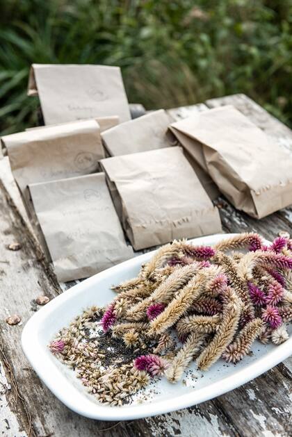Para recolectar semillas y producir con ellas nuevas plantas, guardarlas en sobres con fecha y lugar de recolección, en un lugar seco y lejos de la luz directa.