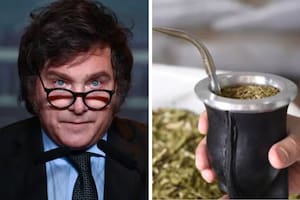En lo que va del gobierno de Milei los argentinos toman menos mate, según una estadística