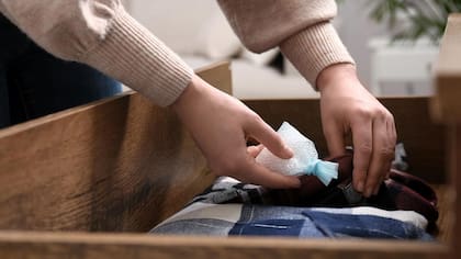Para resolverlo de manera efectiva, se aconseja optar por alternativas ecológicas que eliminen la humedad desde su origen y contribuyan a mantener un ambiente seco y saludable en el interior del armario