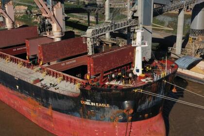 Para Romano, entre las razones de este repunte “puede haber una combinación de tres semanas con fuerte afluencia de camiones a puerto y la suba de precio, que hizo que los productores pusieran precio a más de 1,5 millones de toneladas”