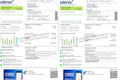 Para saber si uno recibe o no el subsidio de luz y gas, es necesario tener el número de