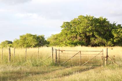 Para Salaverri, la cuota adicional del impuesto inmobiliario rural suma más preocupación en el sector porque “incrementa aun más lo que se denomina la presión total global”