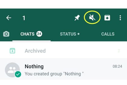 Para silenciar una grupo de WhatsApp, lo primero que hay que hacer es presionarlo sobre el contacto y tocar la campanita