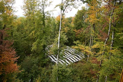 Para simular los efectos de la sequía, los investigadores de un bosque en Hölstein levantaron toldos para interceptar la lluvia