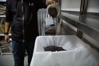 Para su elaboración utilizan mayormente productos locales.