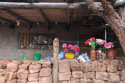 Para tener alguna chance, a las familias rurales no les queda otra que amontonarse en los centros urbanos.