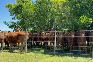La Argentina se prepara para un histórico desembarco en Turquía