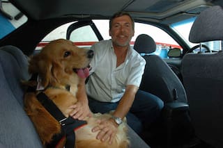 Viajar con mascotas: todo lo que hay que saber