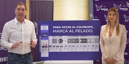 "Para votar al colorado, marcá al pelado" El spot de La Libertad Avanza