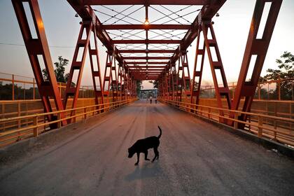 Un perro camina por el Puente Internacional San Ignacio de Loyola que cruza el río Pilcomayo, la frontera natural entre el Puerto Falcón de Paraguay y Clorinda de Argentina. Las naciones cerraron sus fronteras