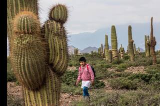 La historia de Ulises y la liga de los superhéroes a pie