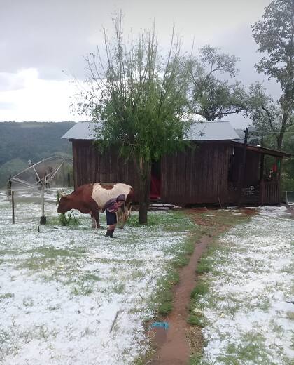 Parece una postal del frío hemisferio Norte en esta época del año, pero se trata de una zona limítrofe con Brasil, con temperaturas que fácilmente superan los 40 grados en esta época del año.