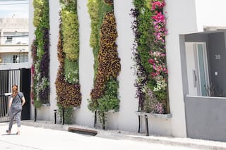 Jardines verticales: seis paredes verdes para dar vida y color a los espacios