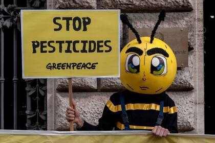 "Paren los pesticidas". Los químicos para el control de plagas suelen afectar a los polinizadores, como las abejas