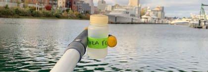 Park View Kayak Launch registró un 90% de contaminación por bacterias