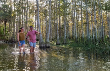 Parkland está cerca de los Everglades de Florida, uno de los atractivos naturales del Estado del Sol
