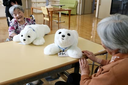 Paro, un pequeño robot con forma de cría de foca de pelo blanco y ojos negros, que parece un peluche y se utilizó con sobrevivientes al terremoto y tsunami que devastaron la costa de Japón en 2011