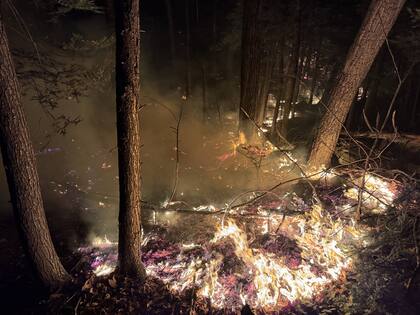 Parque Estatal del Bosque de Sterling: El incendio afecta principalmente esta área, donde se han suspendido actividades recreativas como la caza.