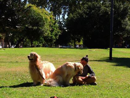 Parque Goyeneche, un largo tramo verde pegado a calle Donado.