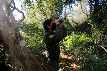 Un guardaparques del Parque municipal de la Ribera Norte de San Isidro