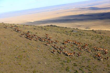 Parque Nacional Patagonia
