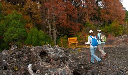 Parque Nacional Lanín