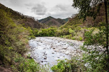 El verde exuberante del Parque Nacional Baritú.