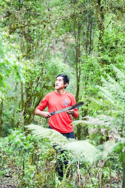 Armando Aramayo en el Parque Nacional Baritú.