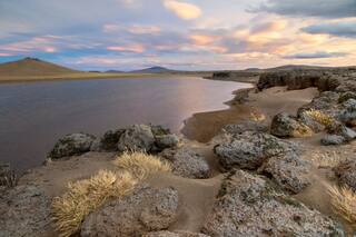 Parque Nacional Patagonia. Pumas guanacos y la belleza de la estepa salvaje