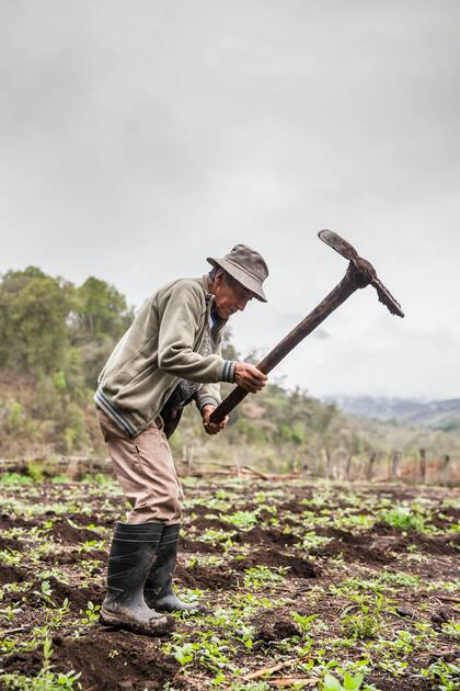 Concepción Aramayo, sembrador de la comunidad Baritú dentro del Parque Nacional con el mismo nombre.