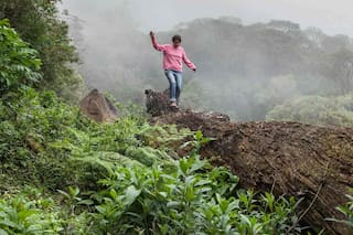 Baritú, el insólito parque nacional argentino al que se accede desde Bolivia