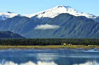 Parque Nacional Pumalín